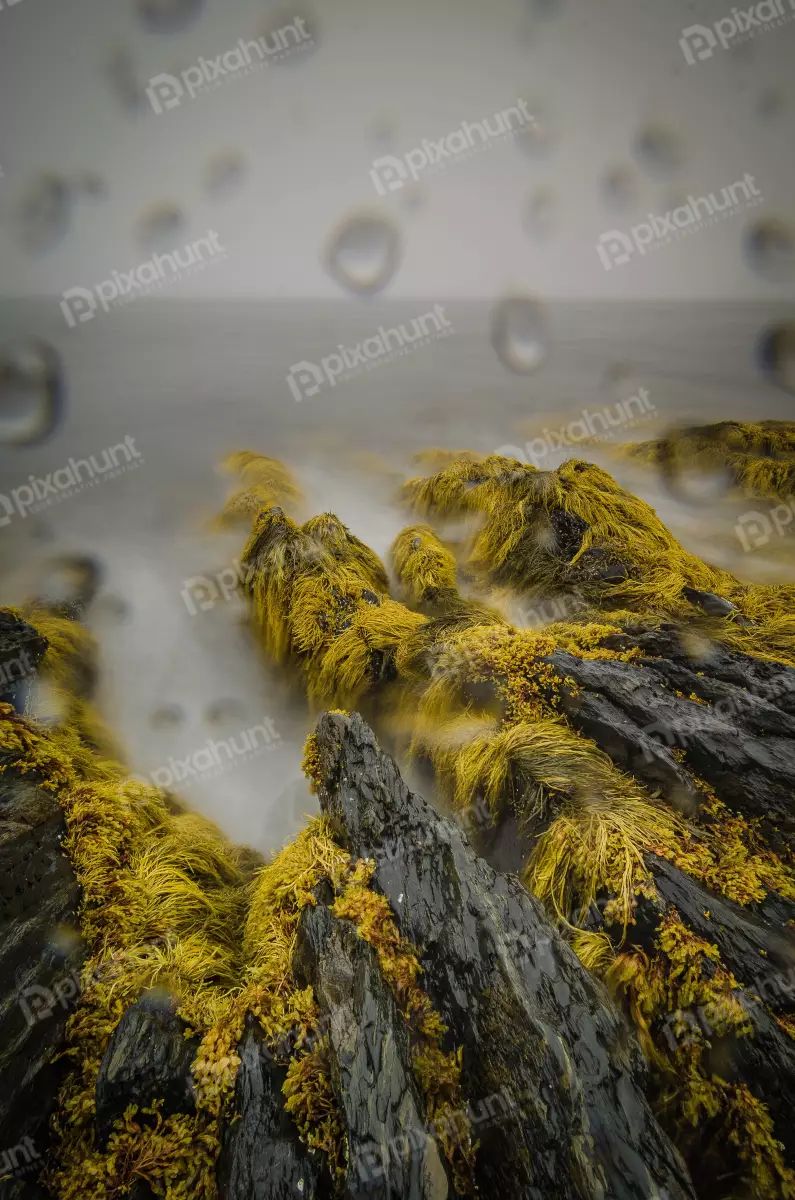 Free Premium Stock Photos looking out at a rocky shore
