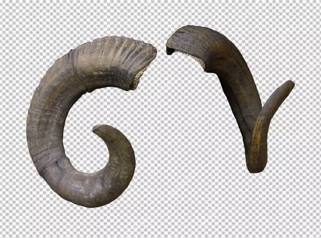 Free Premium PNG  Beauty And The Beast Horns