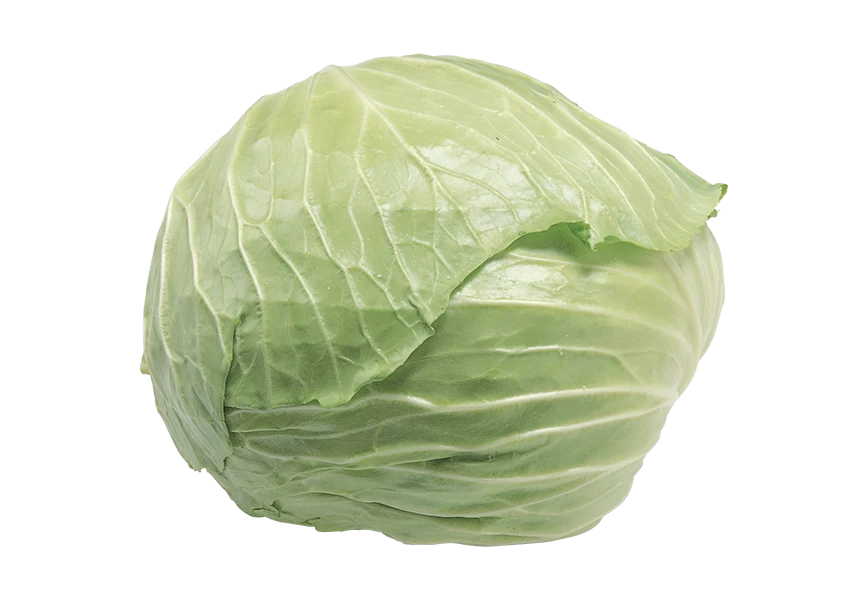 Free Premium PNG Close-up of green leaf against  transparent background