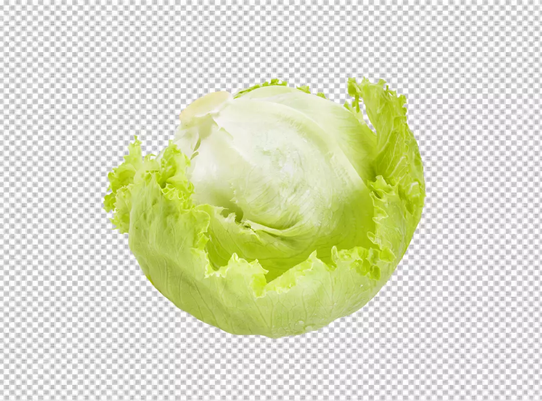 Free Premium PNG Green premium fresh and Nutritious Cabbage PNG Download: High-Quality Graphics for Your Designs