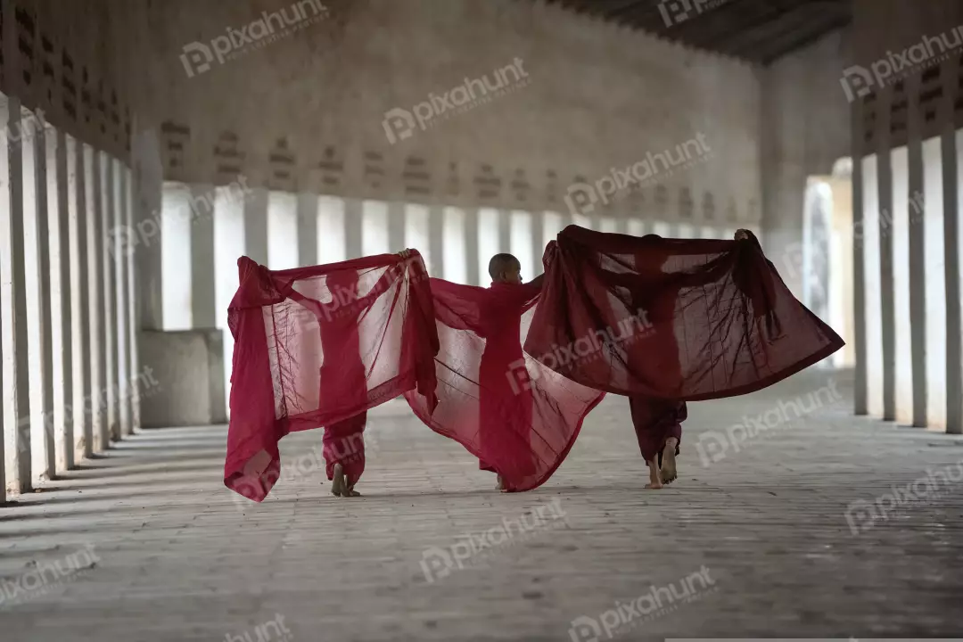 Free Premium Stock Photos Three monks walking away from the camera and monks are wearing traditional robes are carrying their belongings in bundles on their backs