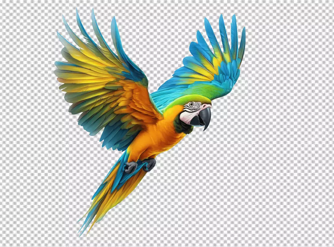 Vibrant Flying Macaw Parrot with Colorful Wings in Dynamic Pose
