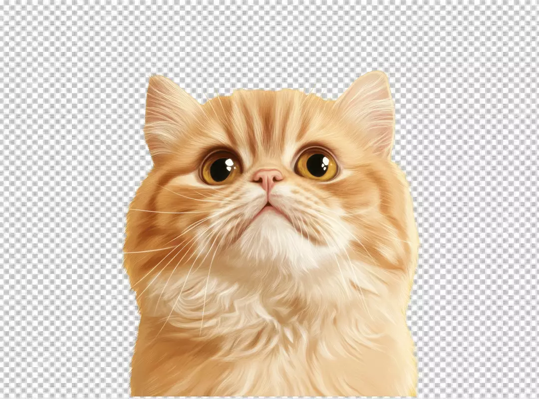 Cute Fluffy Orange Cat Looking Up with Big Golden Eyes
