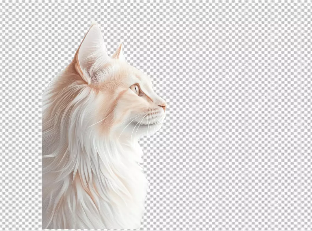 Elegant Cream Cat Profile with Fluffy Fur, Detailed Portrait for Creative Designs