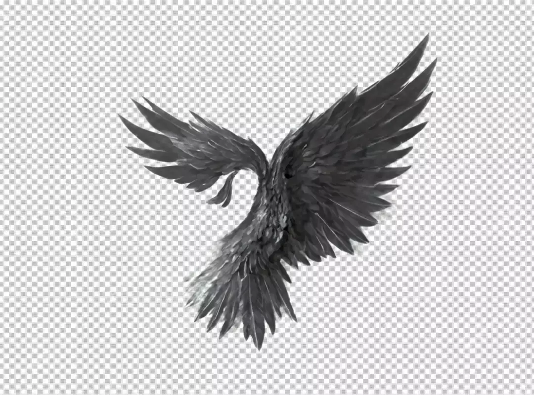 Dramatic Black Feathered Wings Spread Wide, Isolated on Clean White Background