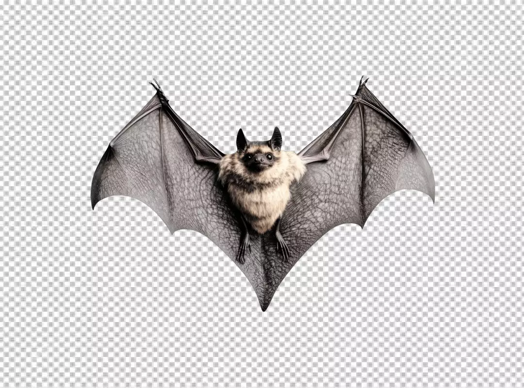 Cute Brown Bat Flying with Open Wings PNG Cutout for Halloween Designs