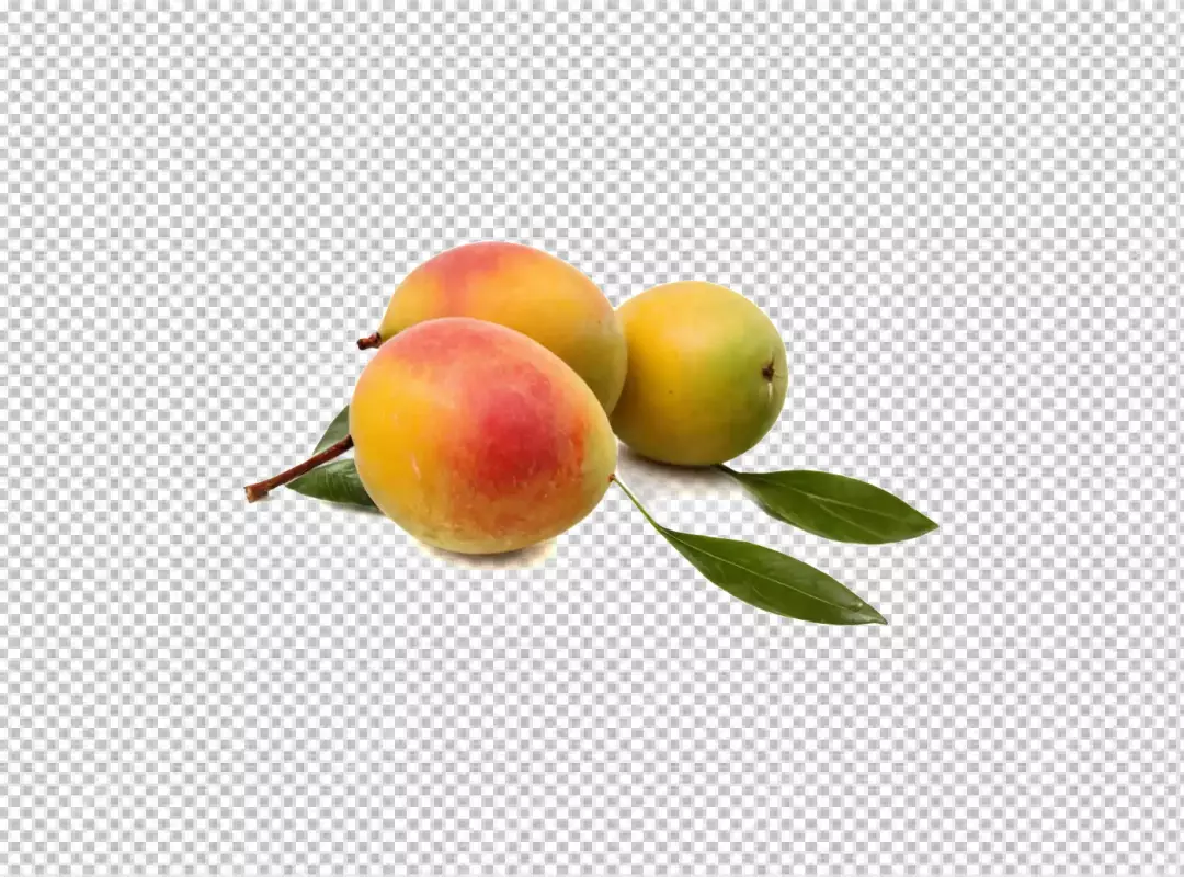 Fresh Ripe Loquat Fruits with Green Leaves on a Bright White Background