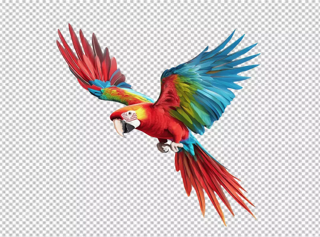 Vibrant Flying Macaw Parrot with Spread Wings Tropical Bird Art