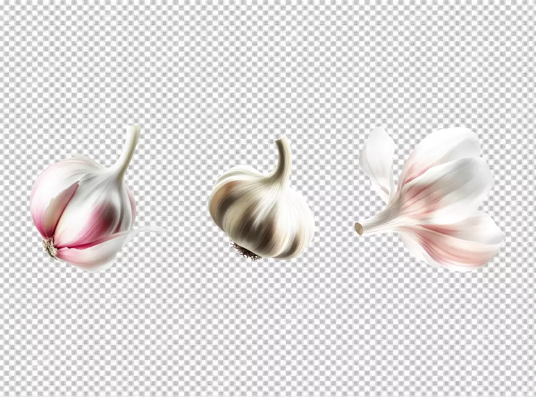 Vibrant Healthy Garlic Bulbs and Cloves for Flavorful Culinary Creations