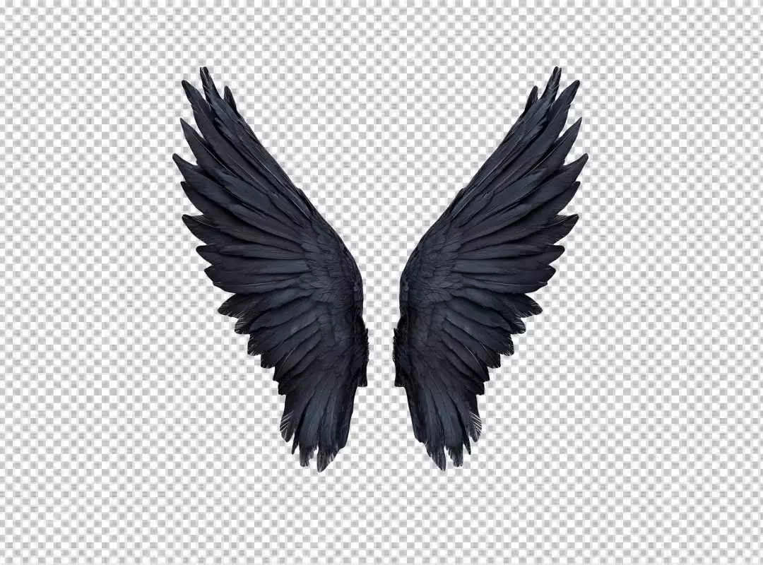 Majestic Black Wings Spread for Dynamic Fantasy Designs and Creative Projects