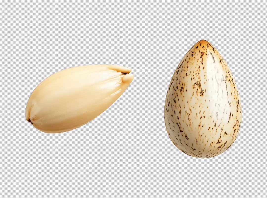Realistic Whole and Cracked Bird Eggs PNG for Spring and Nature Designs