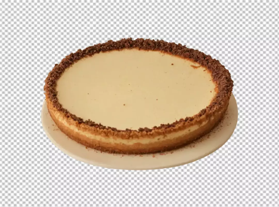 Classic Cheesecake with Chocolate Crumb Topping on White Plate, Gourmet Dessert