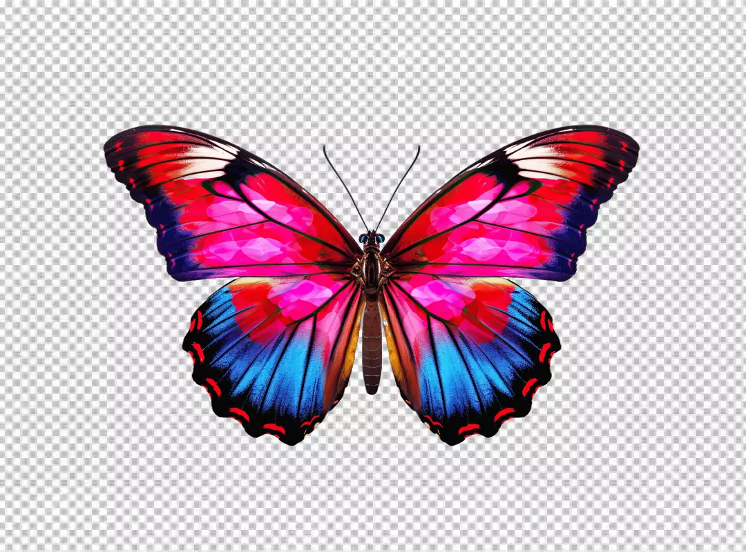 Vibrant Colorful Butterfly PNG Cutout for Nature Designs and Creative Projects