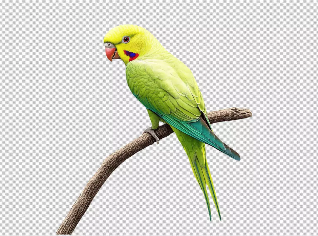 Vibrant Yellow-Green Parrot Perching on Branch PNG Cutout for Exotic Bird Designs