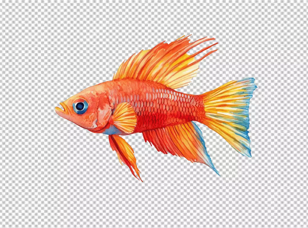 Vibrant Watercolor Red and Orange Fish Illustration for Aquatic Designs