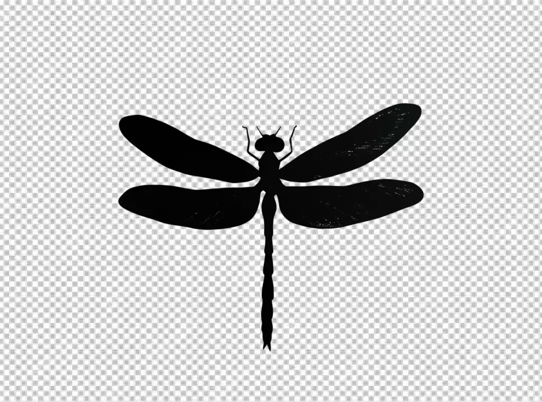 Minimalist Black Dragonfly Silhouette for Nature Inspired Graphic Design Projects