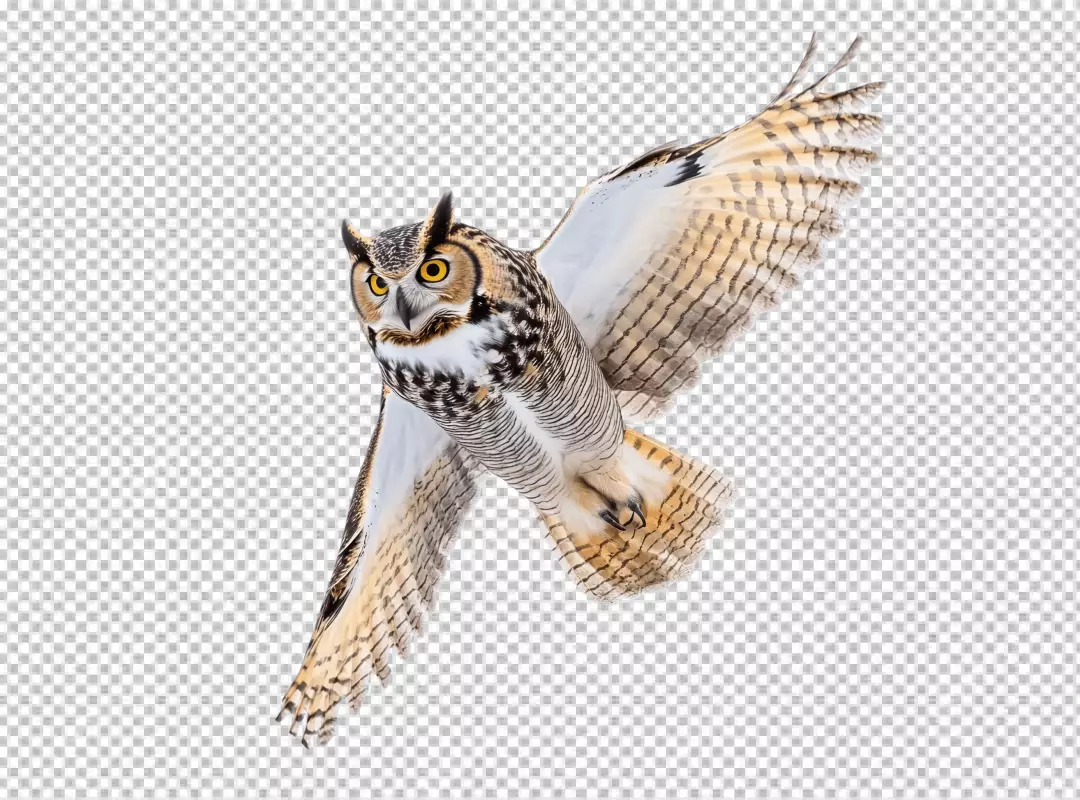 Majestic Great Horned Owl in Graceful Flight PNG Image