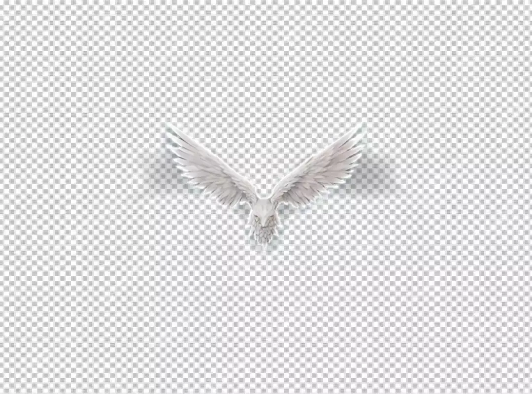 Majestic White Avian Icon with Broad Wings Soaring Symbolically