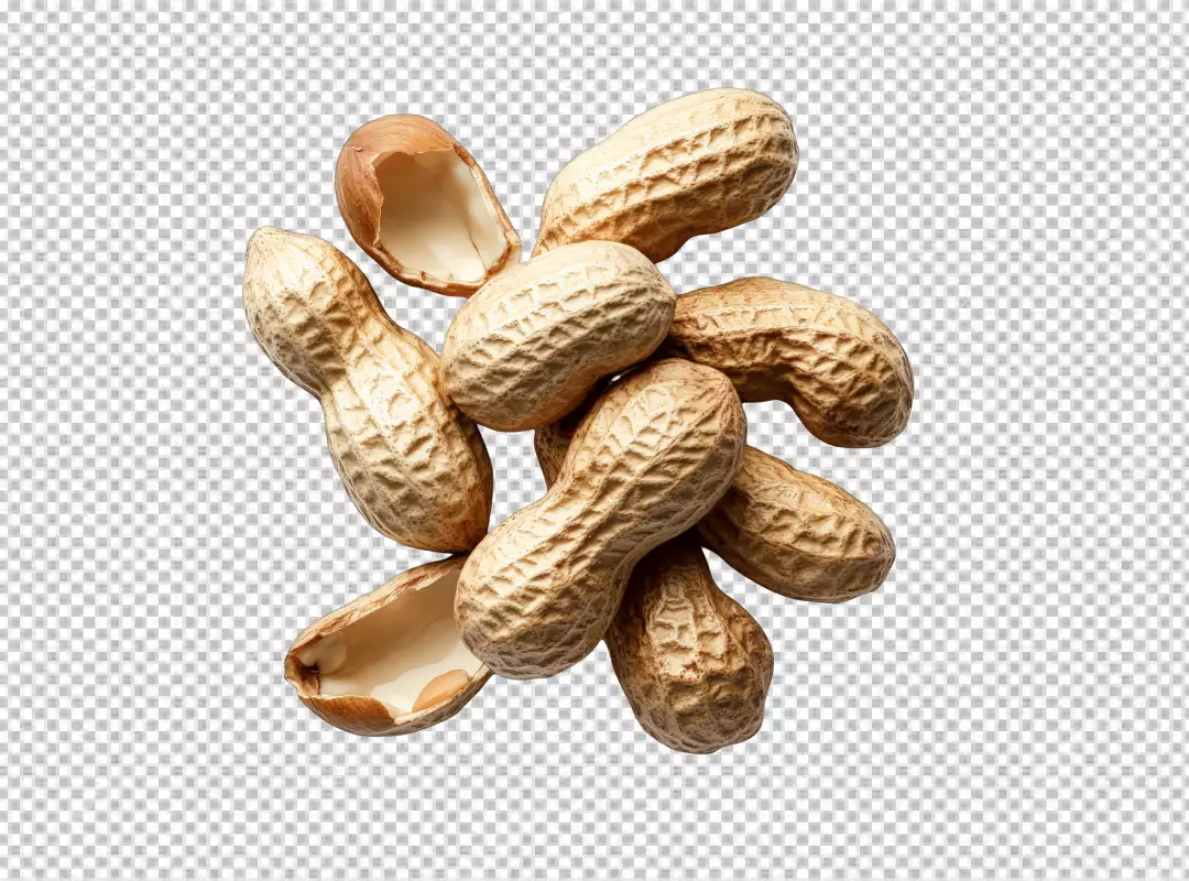 Delicious Peanuts in Shell with Kernel Showing: Healthy Snack PNG Cutout