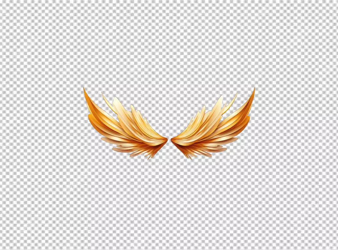 Elegant Golden Wings Isolated for Creative Design and Digital Art Projects