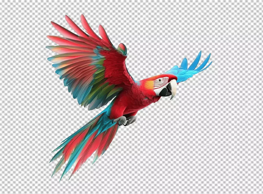 Vibrant Scarlet Macaw Flying in Mid-Air PNG Cutout for Tropical Designs