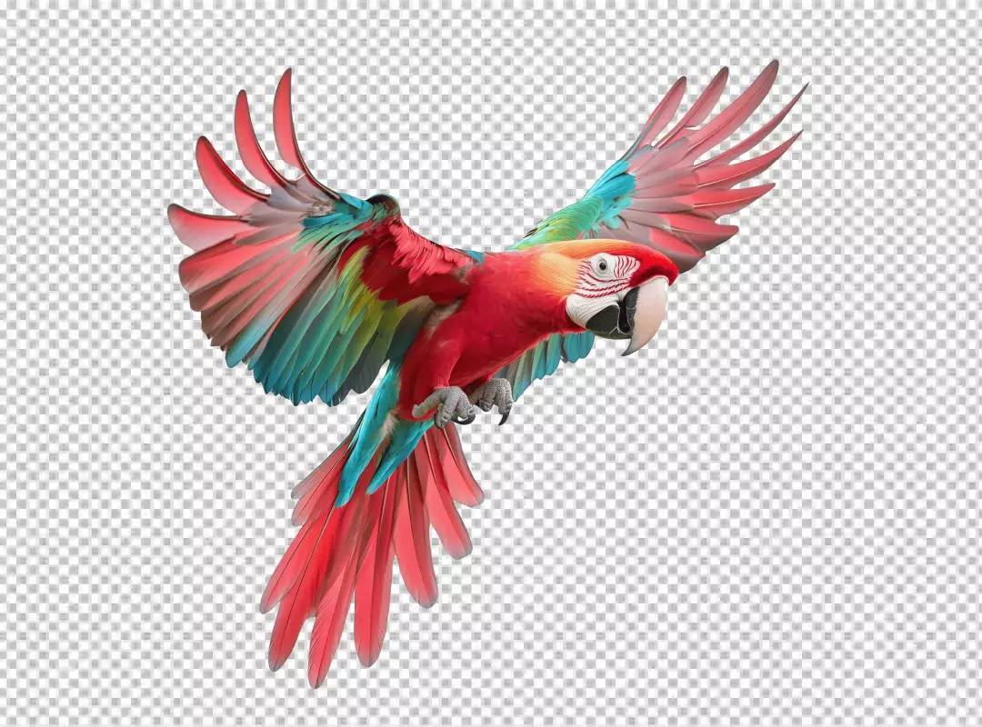 Vibrant Flying Macaw Parrot PNG Cutout for Design Projects