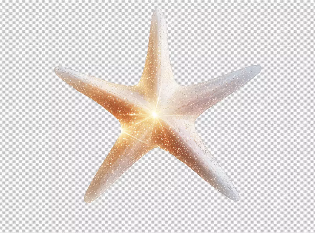 Glittering Starfish PNG Cutout with Golden Sparkle Effect for Creative Design