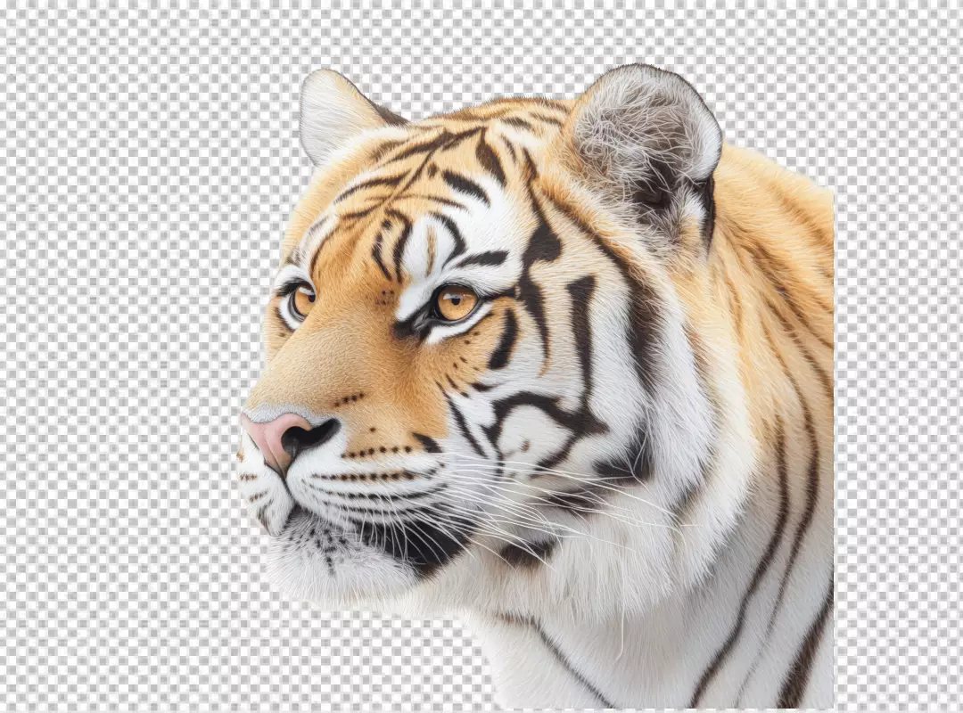 Majestic Tiger Head Profile Wildlife Animal Cutout for Design
