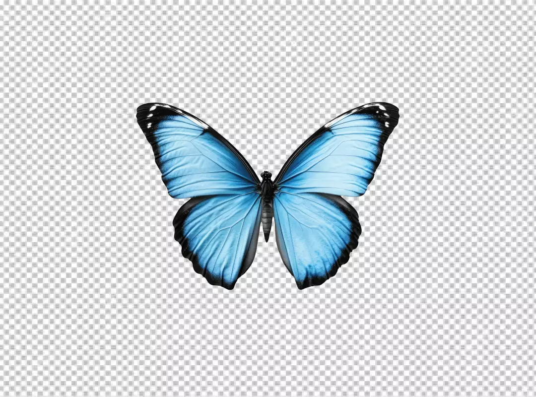 Stunning Blue Butterfly PNG Cutout with Open Wings for Creative Designs