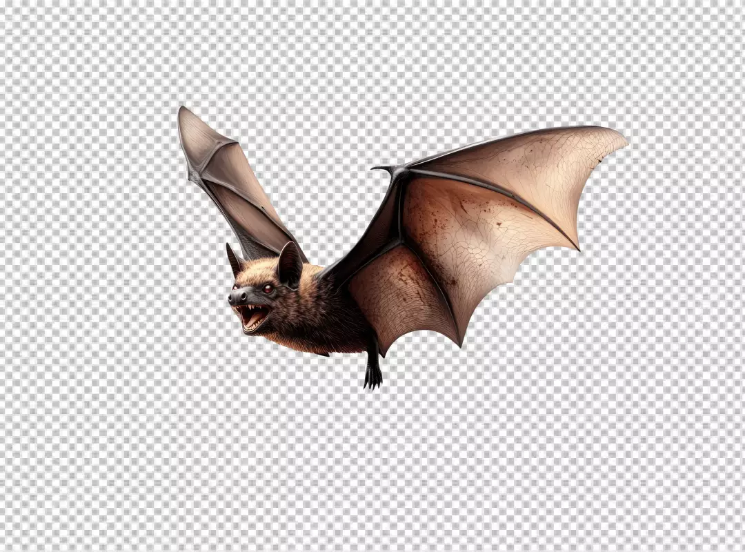 Spooky Angry Flying Bat PNG Image for Halloween Designs and Creative Projects