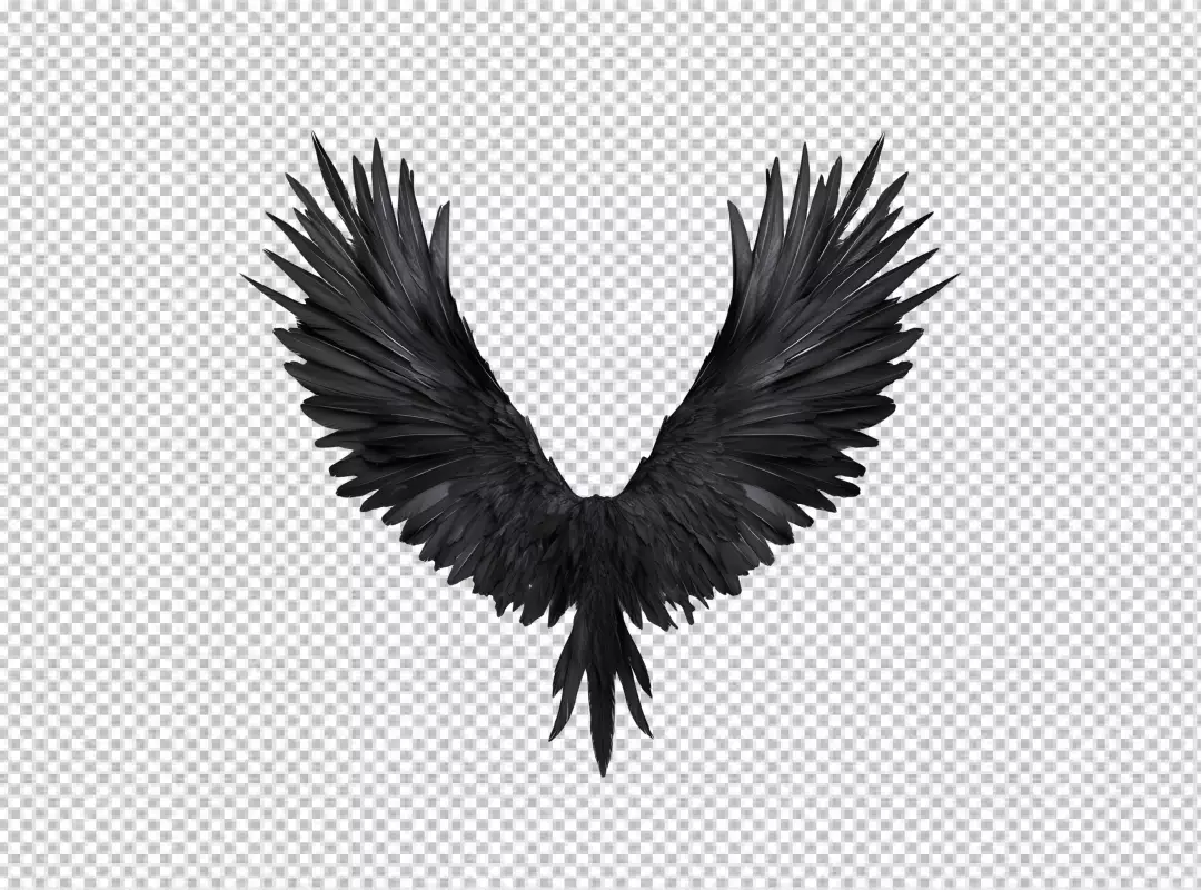 Elegant Black Feathered Wings Spread Wide for Majestic Fantasy Designs