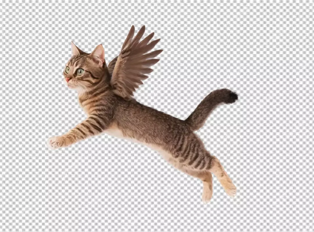 Adorable Tabby Cat with Wings Joyfully Flying on Pristine White Background