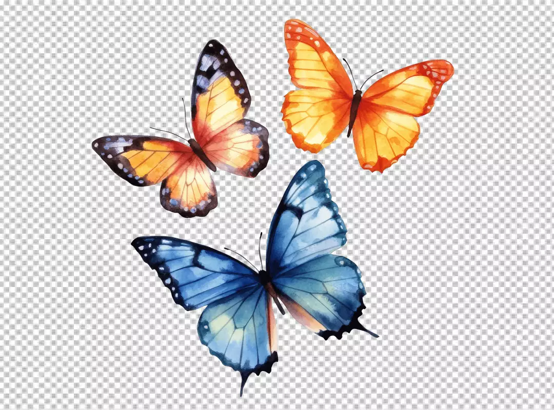 Beautiful Hand-Painted Watercolor Butterflies Collection in Blue and Orange