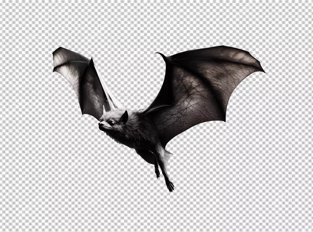 Dynamic Flying Bat PNG Cutout for Spooky Halloween Designs