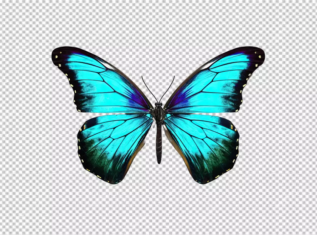 Vibrant Blue Morpho Butterfly PNG Cutout for Creative Designs
