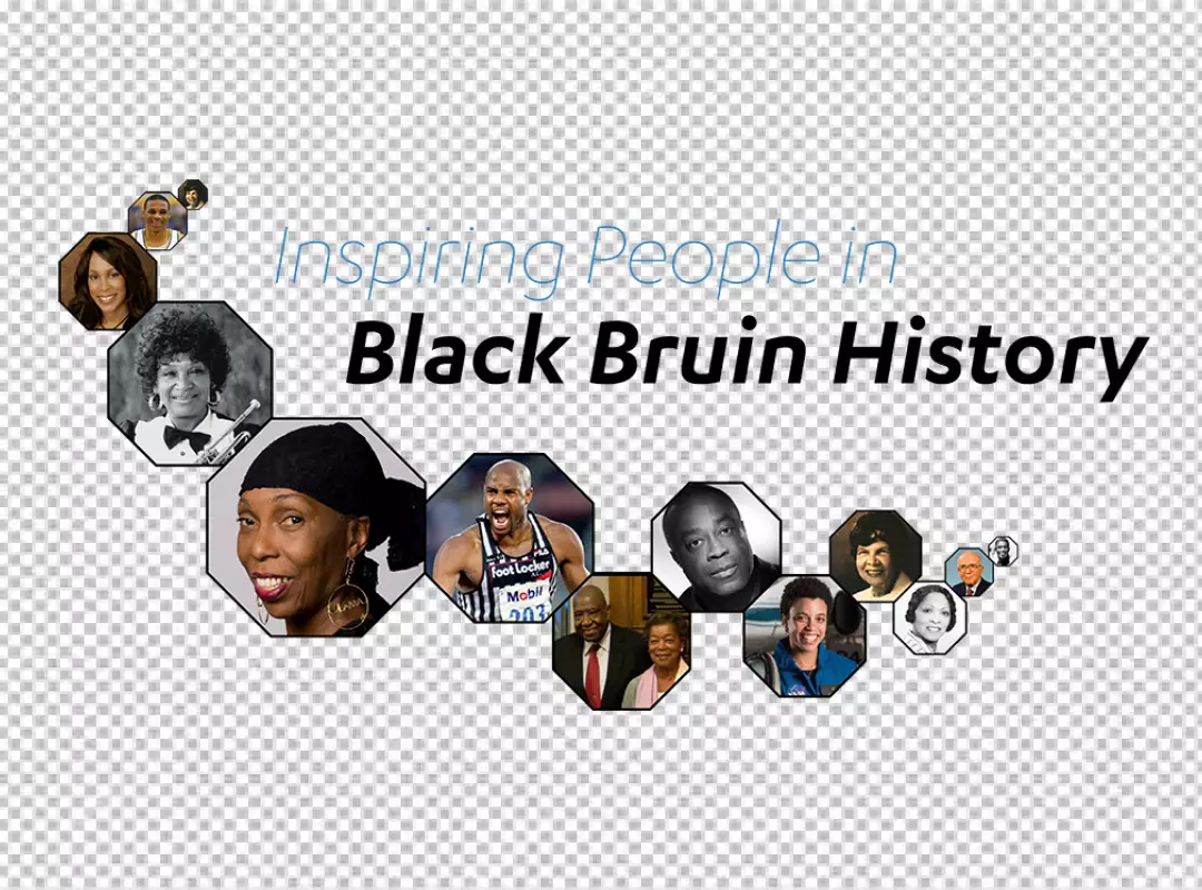Free Premium PNG Inspiring Black Individuals in Various Fields Celebrated in Collage
