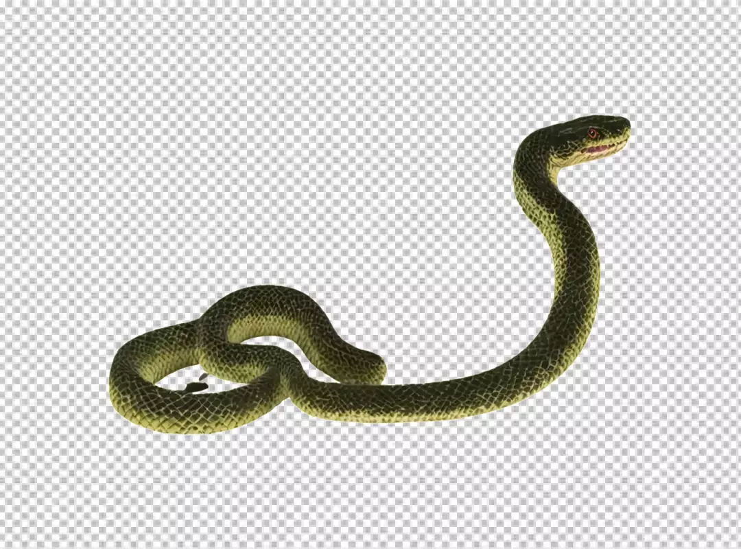 Realistic Green Snake with Open Mouth, Coiled Body, and Striking Red Eyes