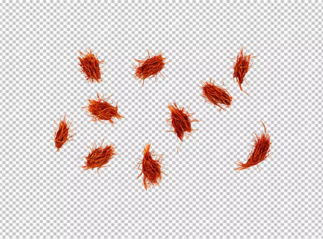 Vibrant Red Saffron Threads Scattered Aromatic Cooking Ingredient Isolated