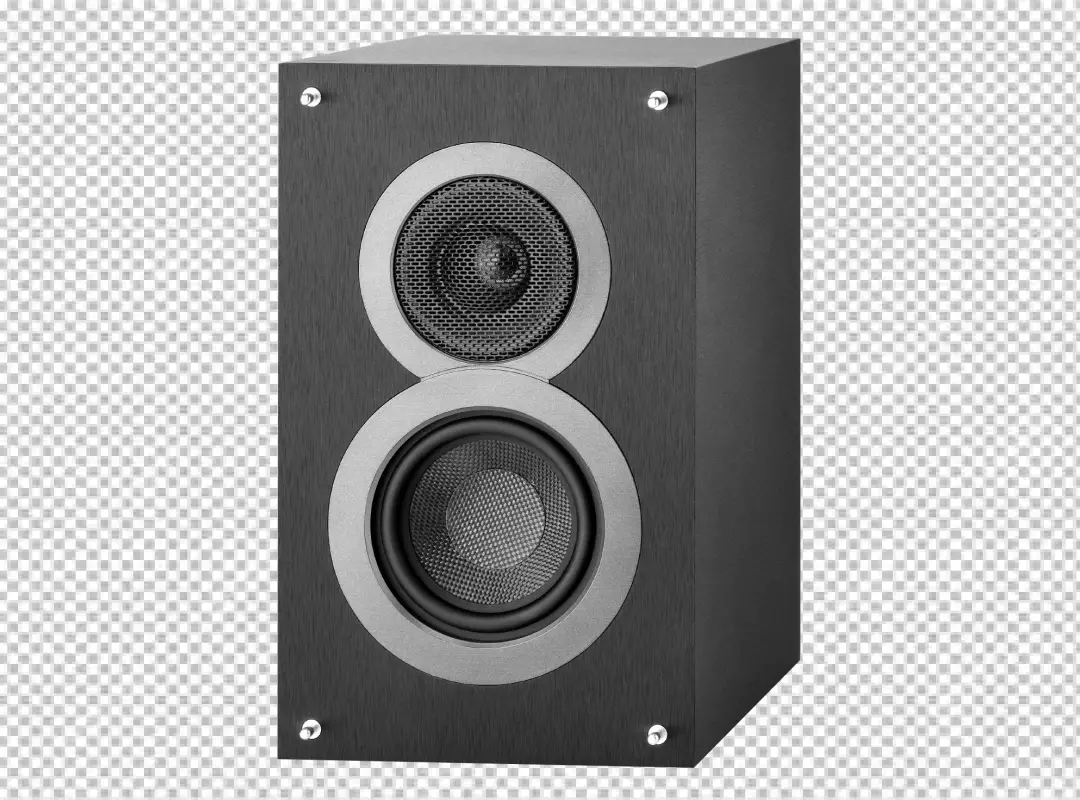 Sleek Dark Gray Audio Speaker with Dual Drivers and Silver Accents Isolated