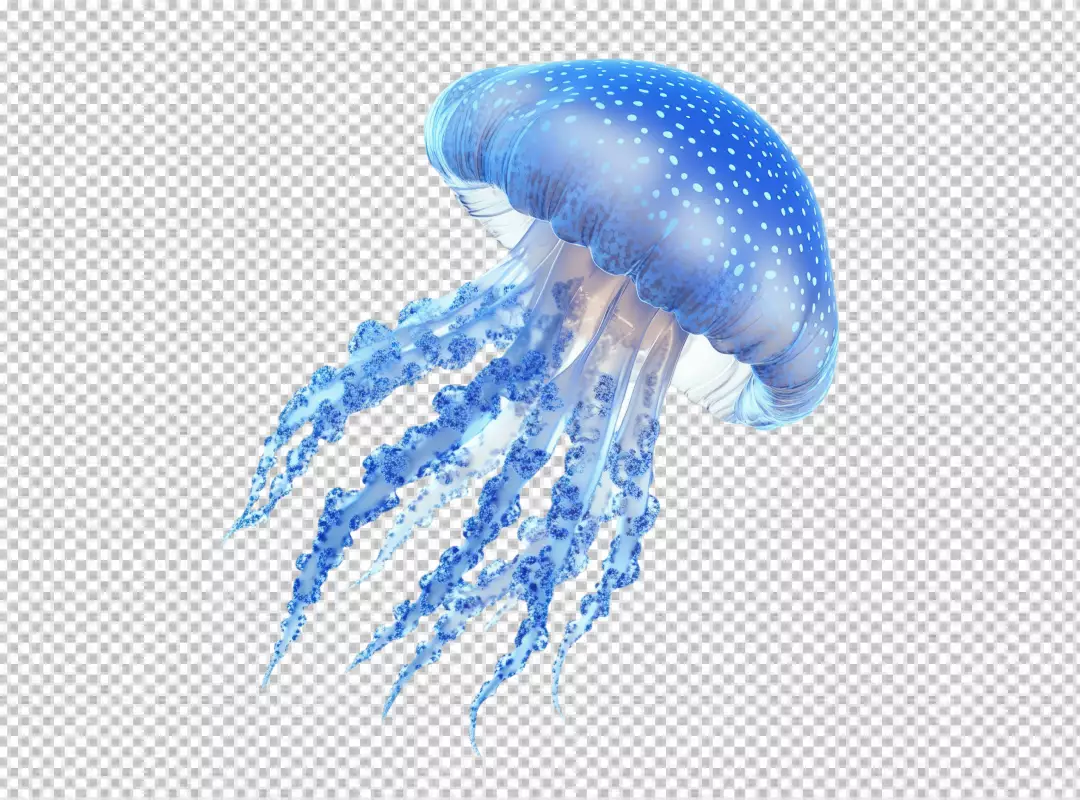 Realistic Blue Jellyfish PNG Cutout for Ocean and Marine Design Projects
