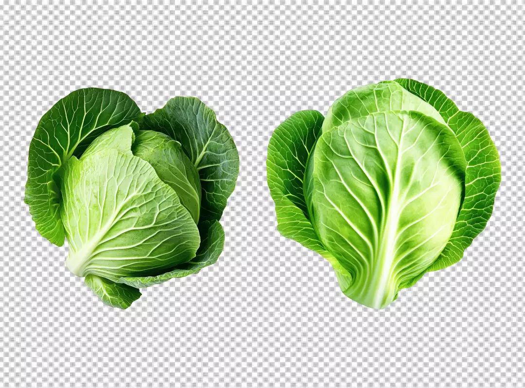 Fresh Green Cabbage Heads for Healthy Cooking and Vibrant Designs