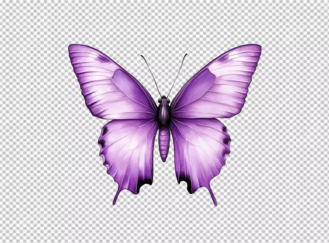 Vibrant Purple Butterfly PNG for Creative Designs and Nature Projects