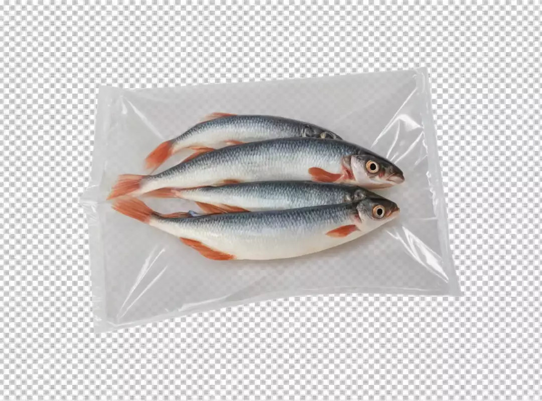 Fresh raw fish in vacuum sealed bag for market display