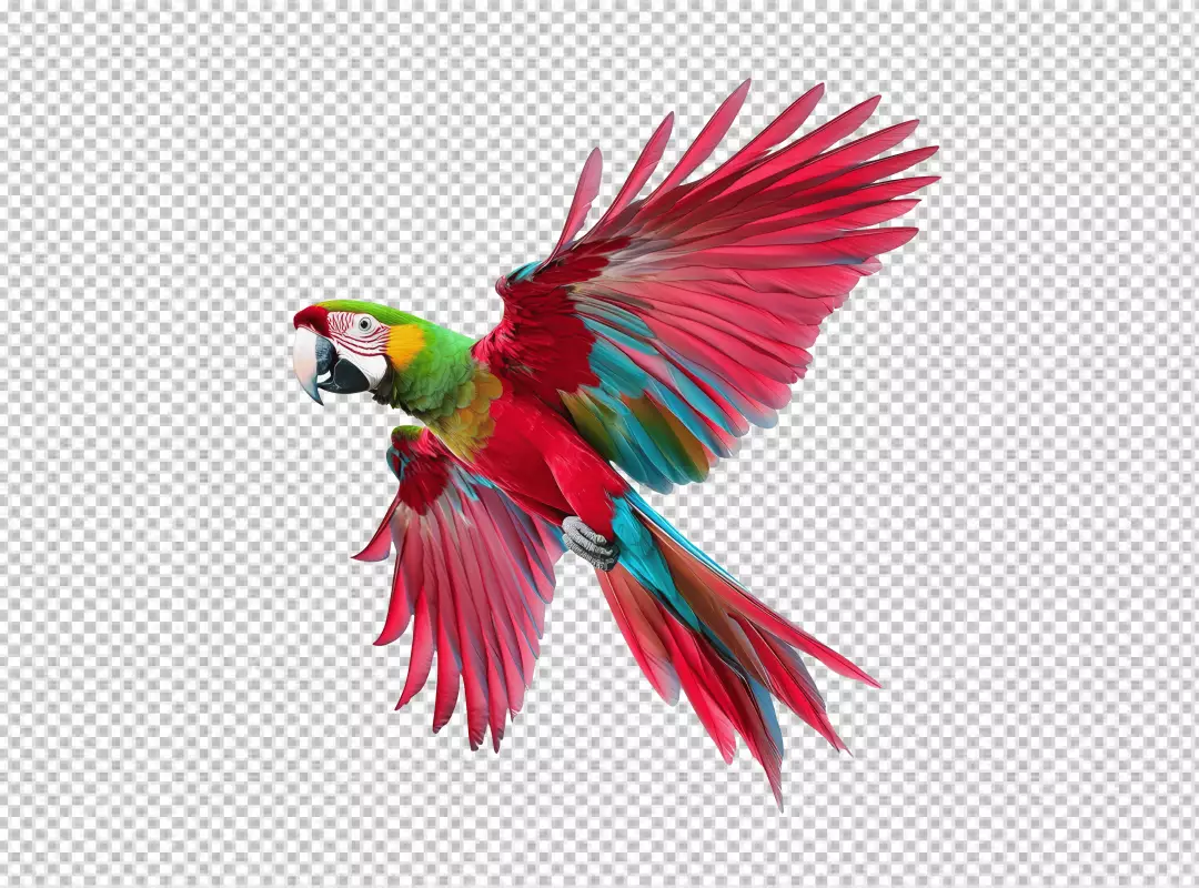Vibrant Colorful Macaw Parrot Flying with Dynamic Wings