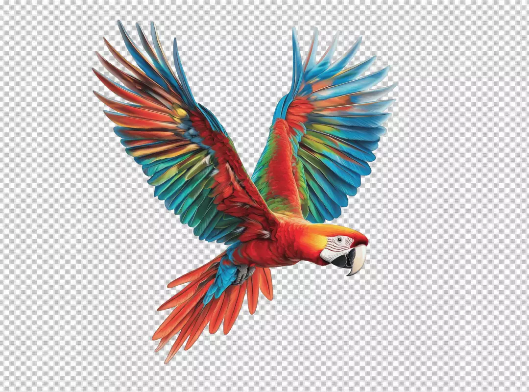 Vibrant Flying Scarlet Macaw Parrot PNG Cutout for Design Projects