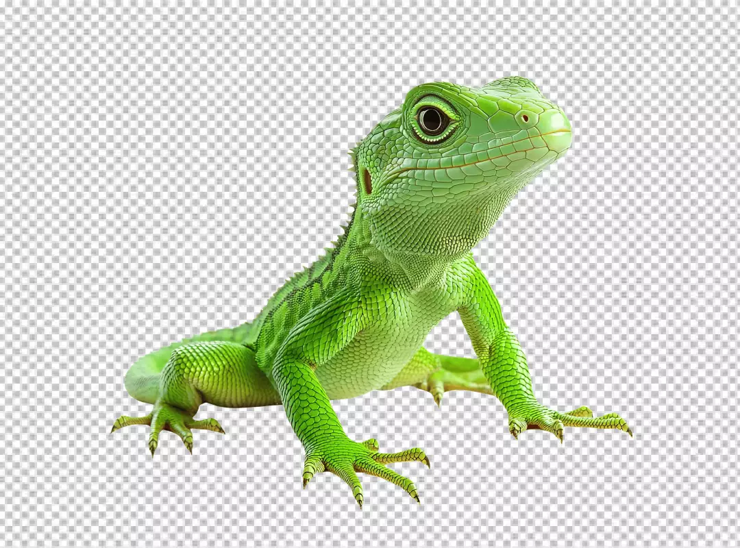 Vibrant Green Lizard PNG: Exotic Reptile Cutout for Nature Designs