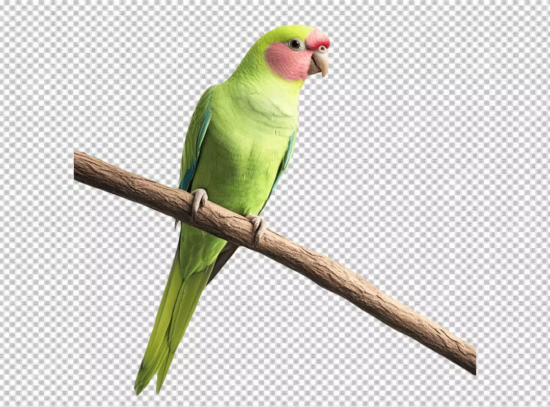 Vibrant green parrot with pink face perched on a natural branch eye-catching exotic bird