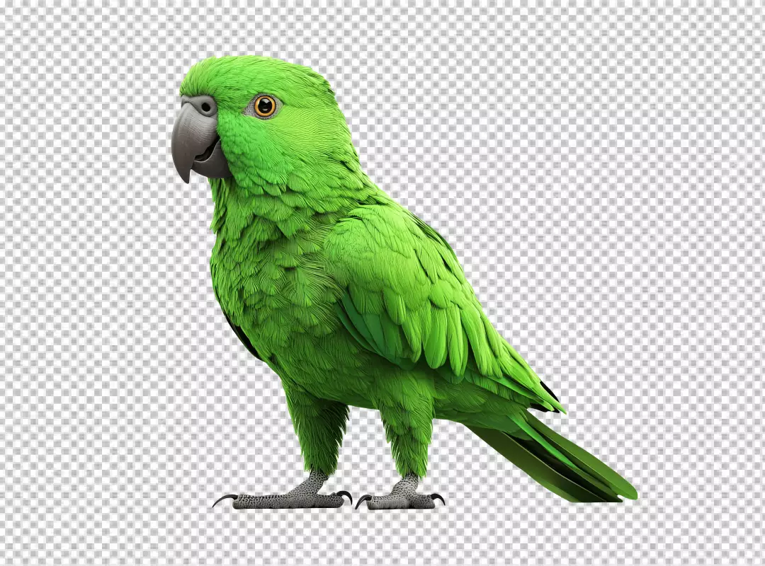 Vibrant Green Parrot PNG Cutout for Digital Design Projects