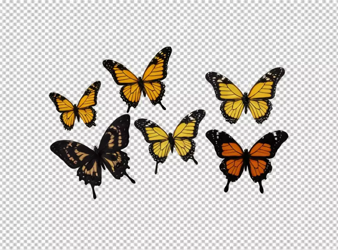Collection of Vibrant Butterflies in Flight on White Background