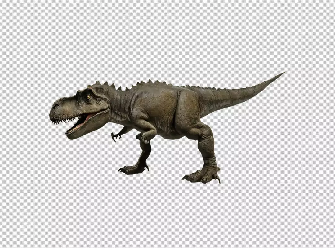 Powerful Tyrannosaurus Rex Replica, Prehistoric Dinosaur on Clean White Background
